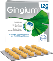 GINGIUM-120-mg-Filmtabletten